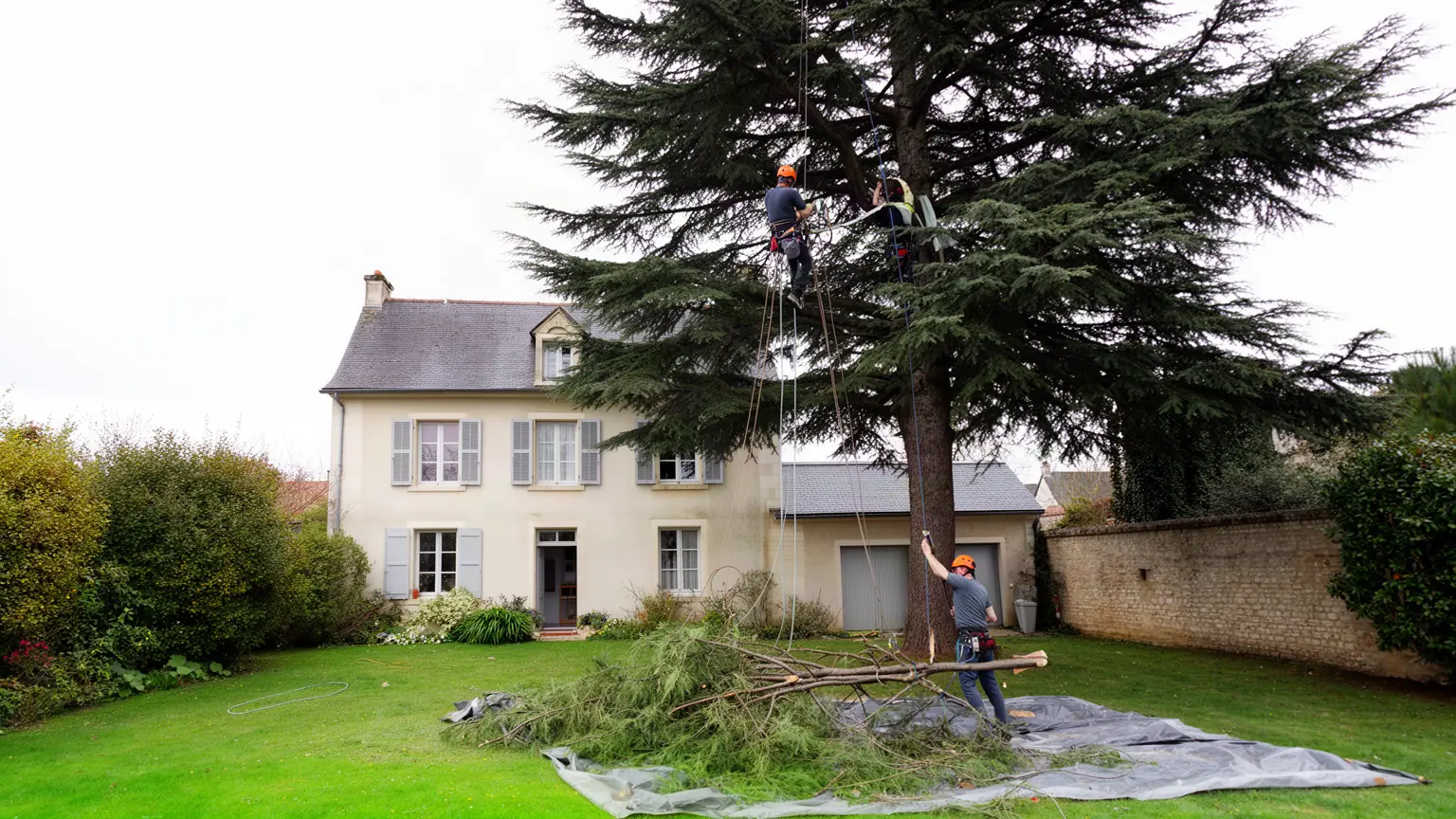 Élagueur professionnel à Tours et alentours