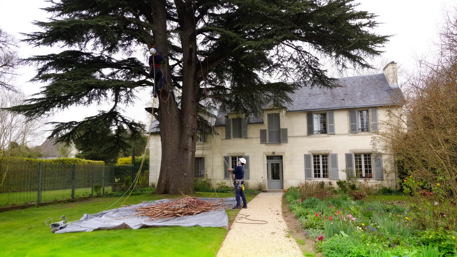 Élagueur professionnel à Saint-Cyr-sur-Loire et alentours